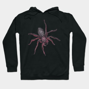 Along Came A Spider Hoodie